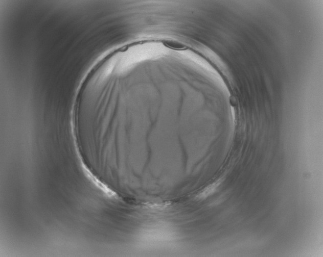 X0000068740958200605192342