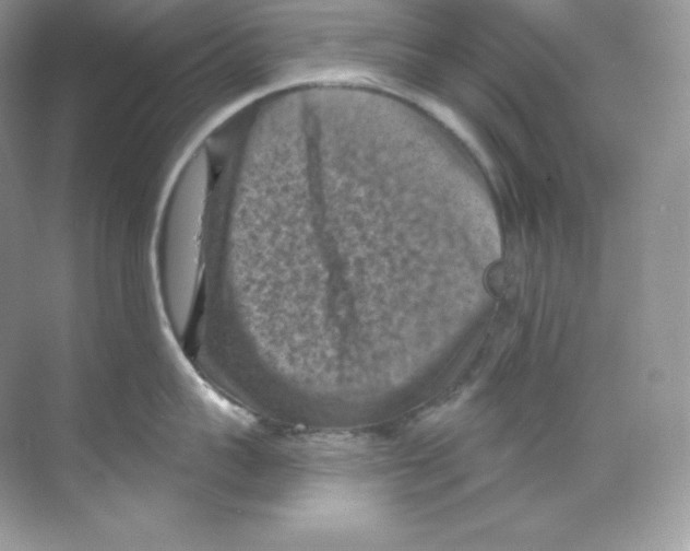 X0000068740959200605192342