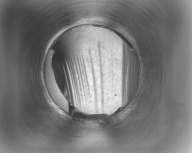 X0000068740960200605192342