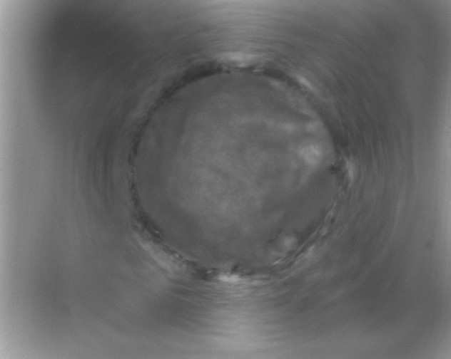 X0000068740961200605192341