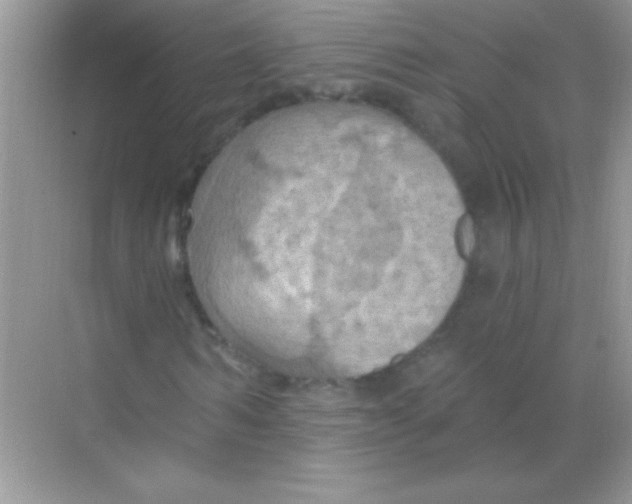 X0000068740962200605192341