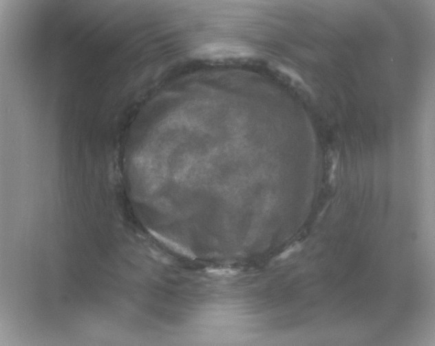 X0000068740965200605192341