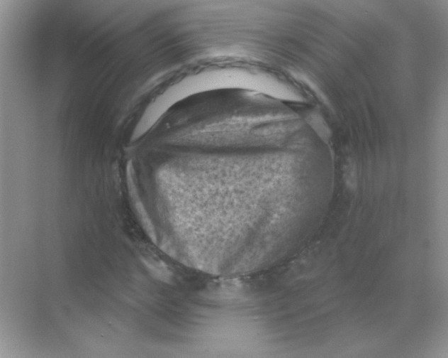 X0000068740968200605192341