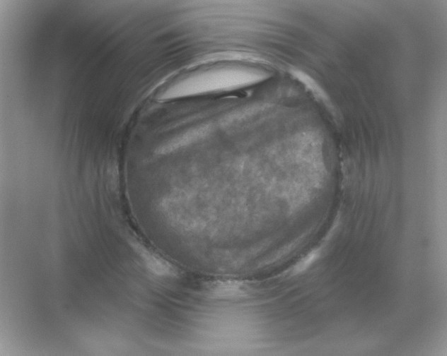 X0000068740969200605192341