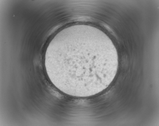 X0000068740970200605192341