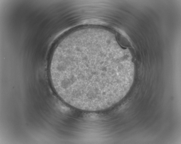 X0000068740971200605192341