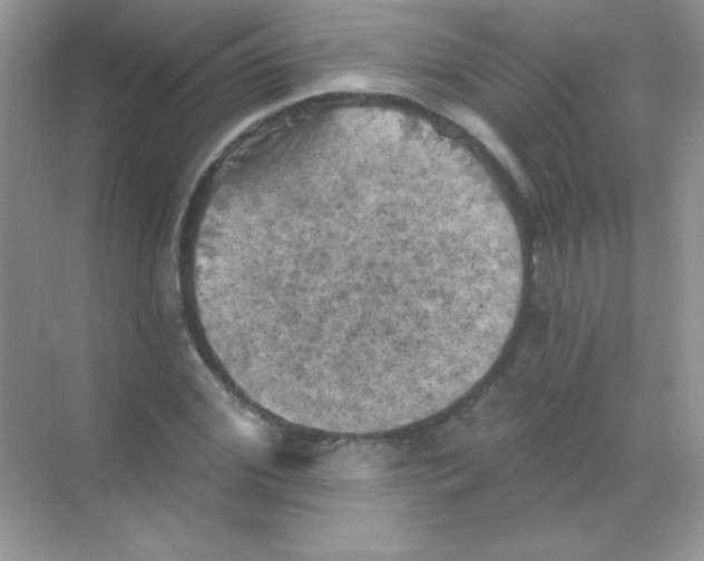 X0000068740972200605192341