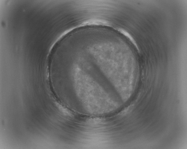 X0000068740973200605192341