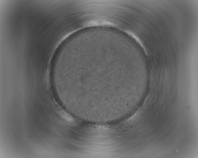 X0000068740975200605192341