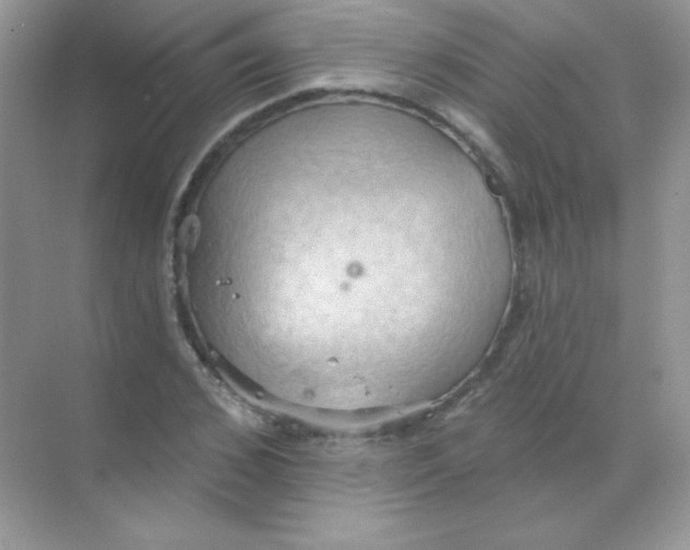 X0000068740976200605192341