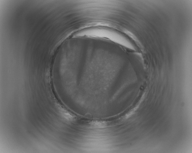 X0000068740977200605192340