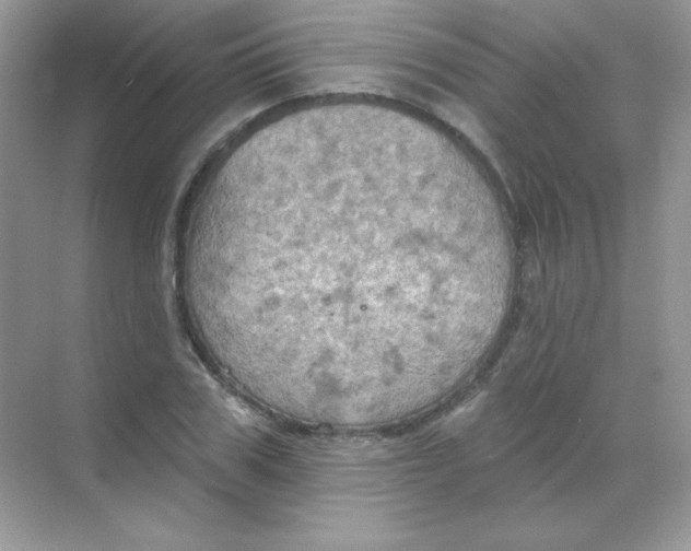 X0000068740979200605192340