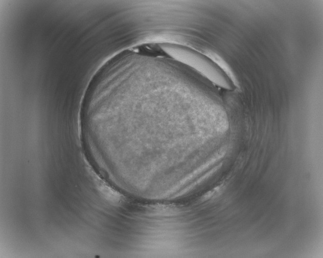 X0000068740980200605192340