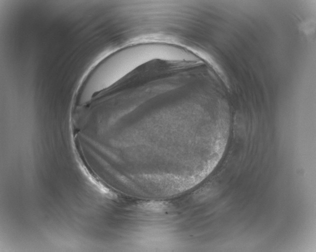 X0000068740998200605192340