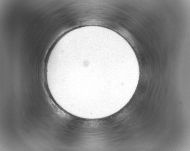 X0000068741000200605192340