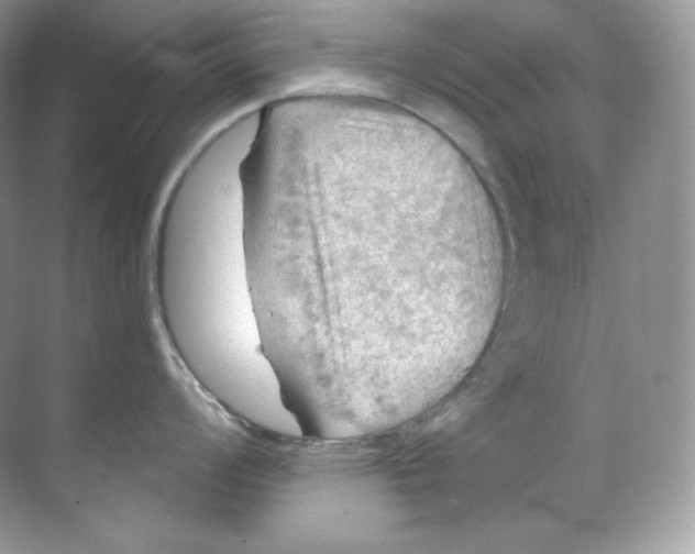 X0000068741008200605192340