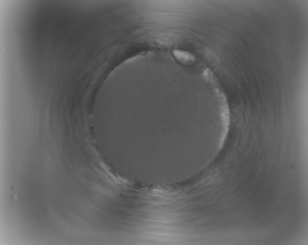 X0000068741009200605192339