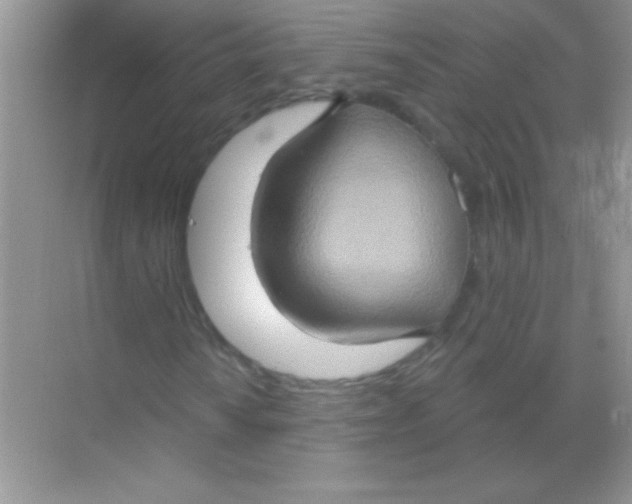 X0000068741010200605192339