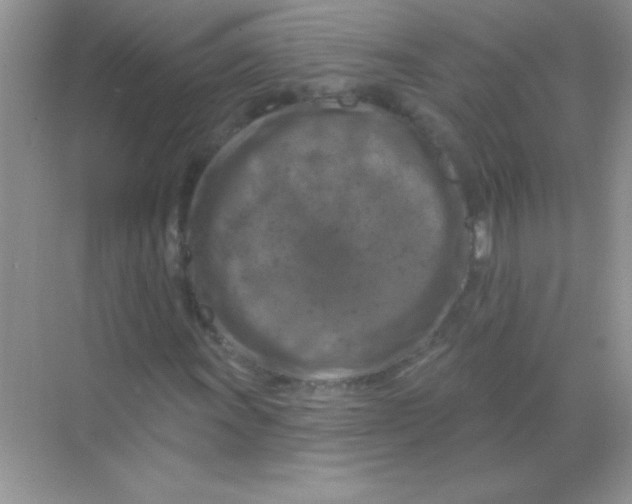 X0000068741011200605192339