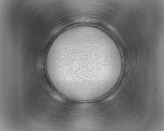 X0000068741017200605192339