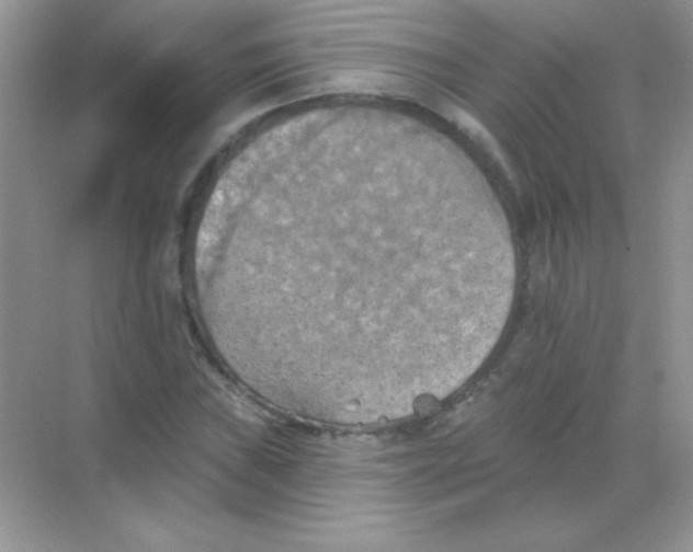 X0000068741019200605192339