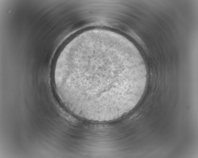 X0000068741020200605192339