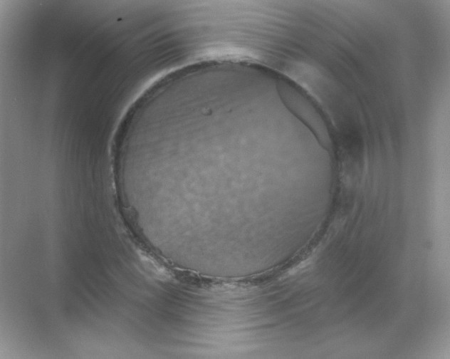 X0000068741022200605192339