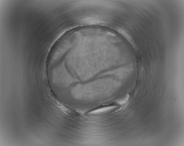 X0000068741023200605192339