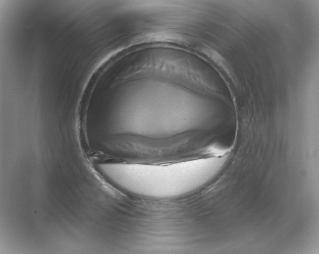 X0000068741024200605192339