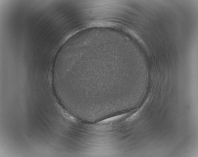 X0000068741025200605192339