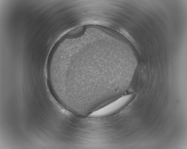 X0000068741028200605192339