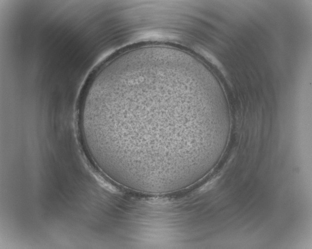 X0000068741029200605192339