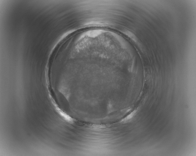 X0000068741030200605192340