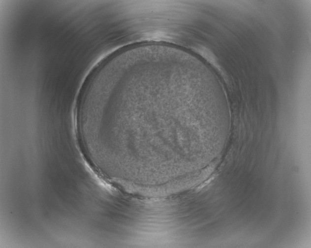 X0000068741032200605192340