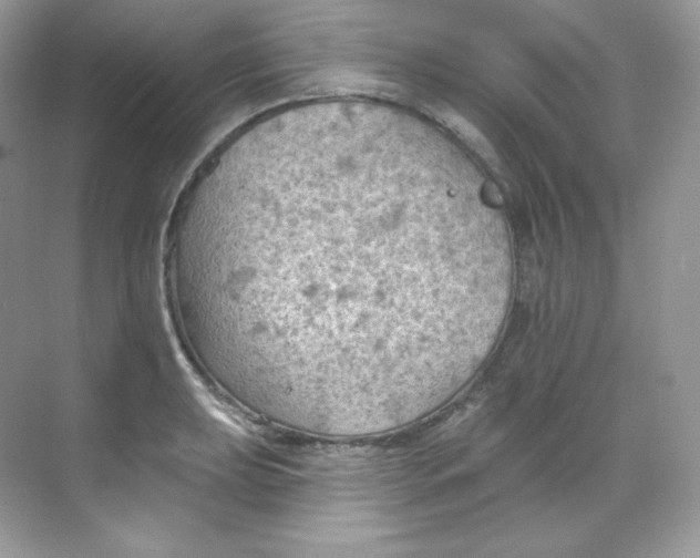 X0000068741039200605192340