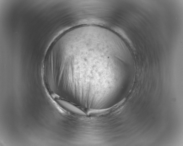 X0000068741040200605192340