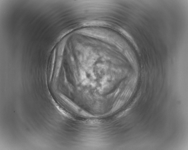 X0000068741041200605192340