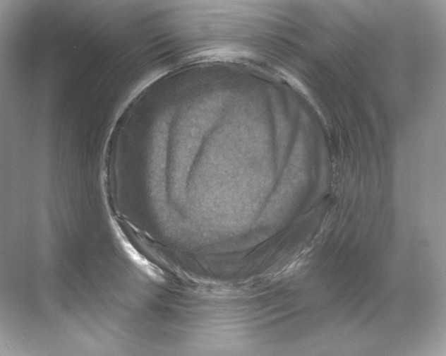 X0000068741042200605192340