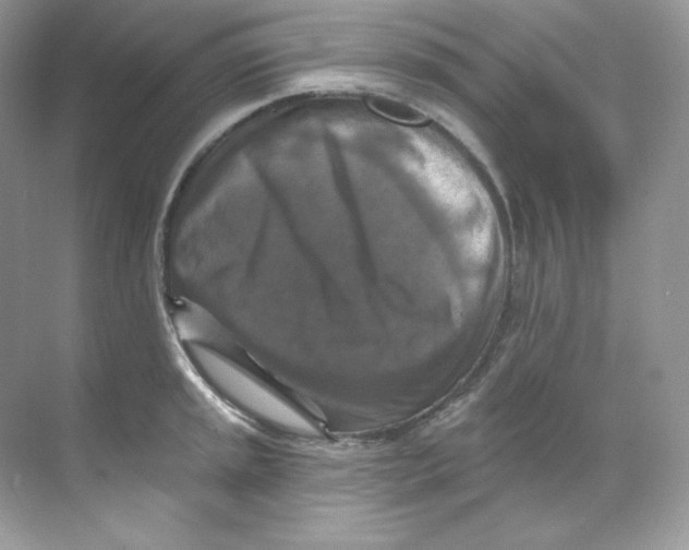 X0000068741045200605192340