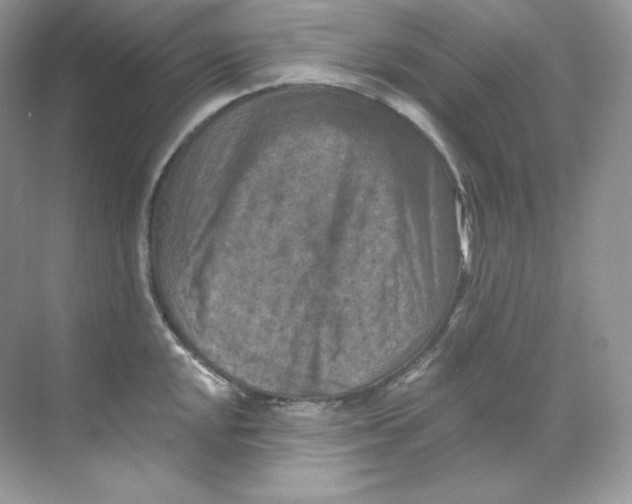 X0000068741048200605192340