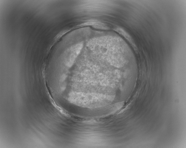 X0000068741049200605192340