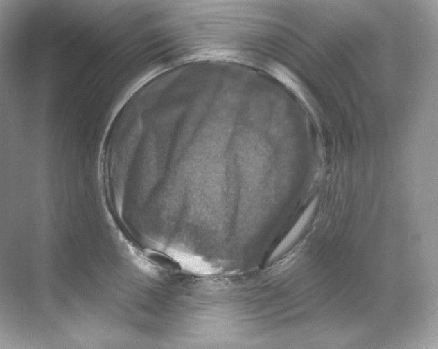 X0000068741050200605192340