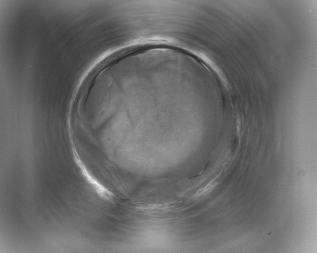 X0000068741054200605192340