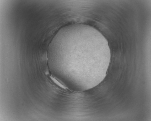 X0000068741058200605192339