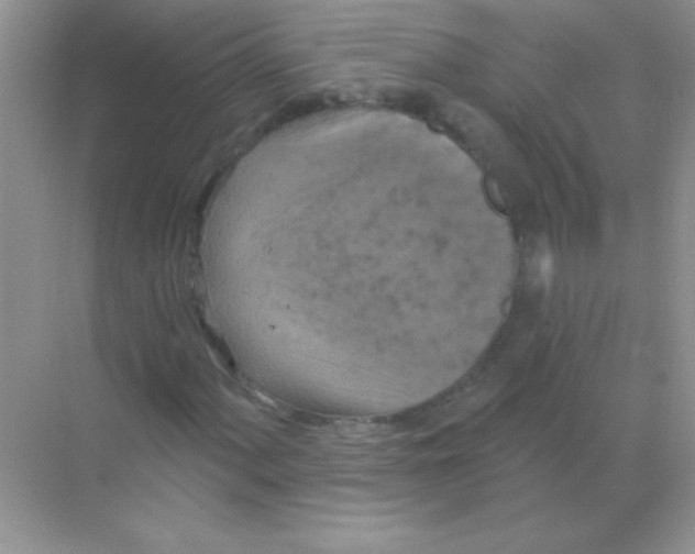 X0000068741060200605192339