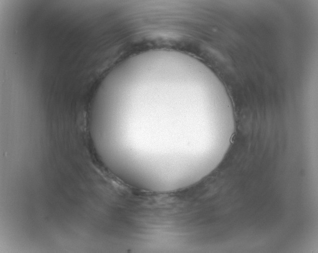 X0000068741061200605192339