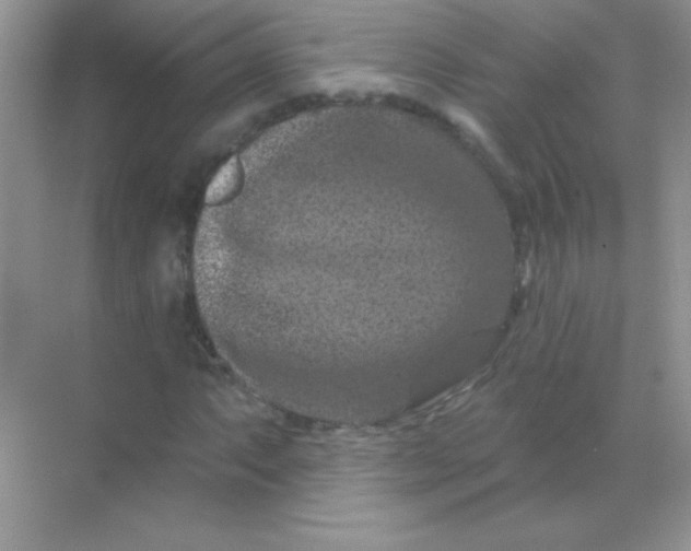 X0000068741063200605192339