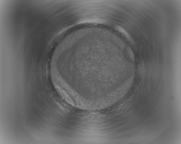 X0000068741064200605192339