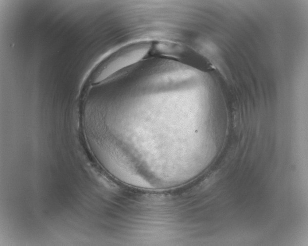 X0000068741069200605192339