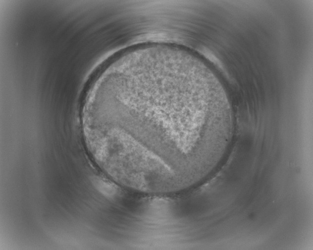 X0000068741070200605192339